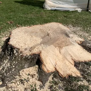 Stump Removal